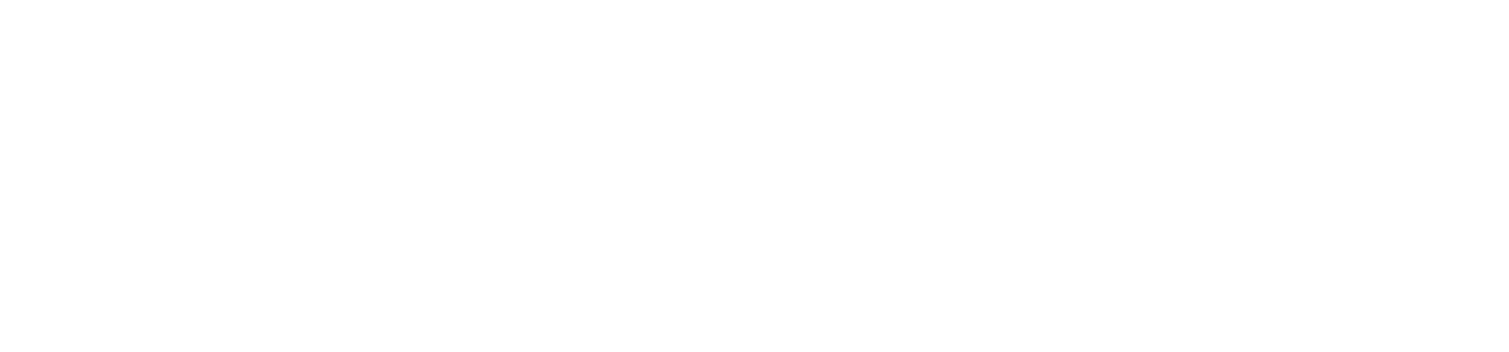 SoluzioniSmart